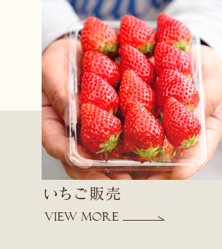 茨城県の絶品いちご園「檜山いちご園」いちご狩り・いちご販売