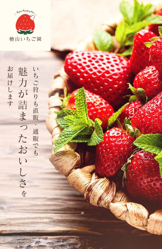 茨城県の絶品いちご園「檜山いちご園」いちご狩り・いちご販売